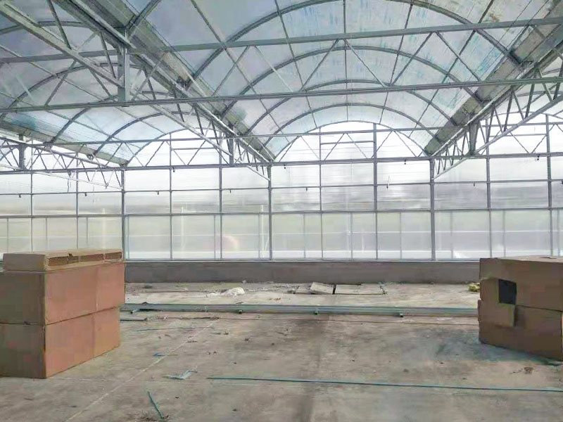 連棟陽光板溫室